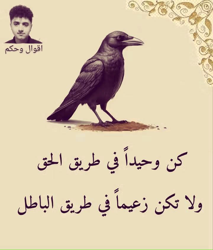 AboAsam52's tweet image. كن وحيدا في طريق الحق
ولاتكن زعيما في طريق الباطل
تصبحوا على خير 👋
#غزه_تموت_جوعاً
#افتحوا_معبر_رفح