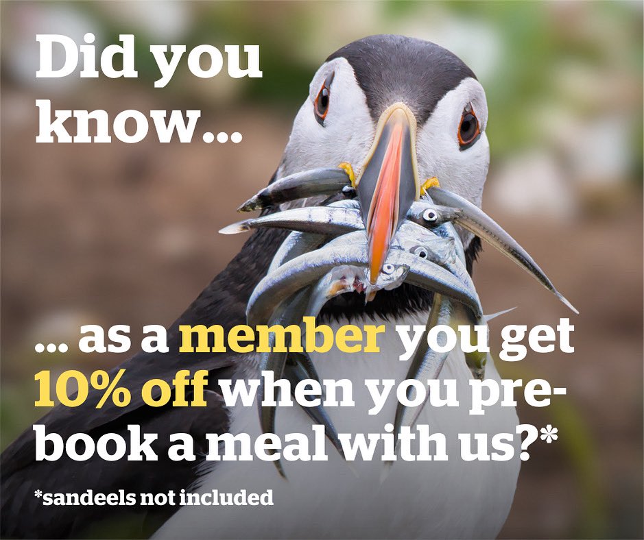 YHA Chester Trafford Hall tweet media