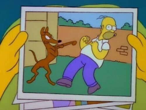 Simpsonito tweet media