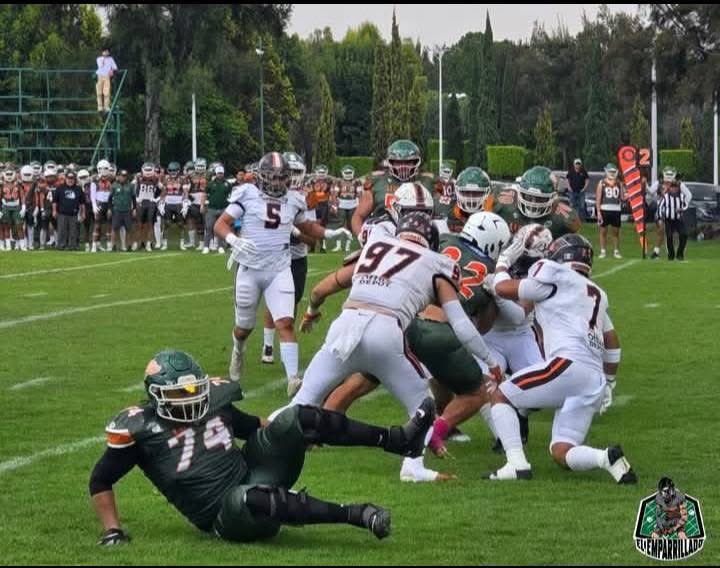 Mundo del Ovoide tweet media