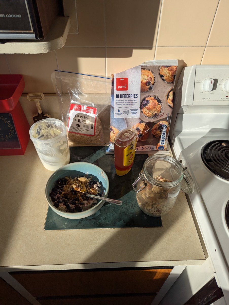 KiwiEV's tweet image. What is this strange, bright light hitting my breakfast? I haven't seen it for so long I've forgotten what it's called.
Funnily enough, this week I want to record a mid-winter update of my solar panels now that production is at its lowest. Let's see if my forecast for payback is…