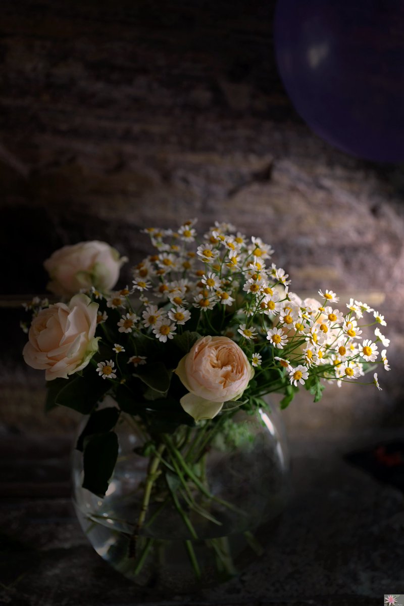 Point_Photos's tweet image. 