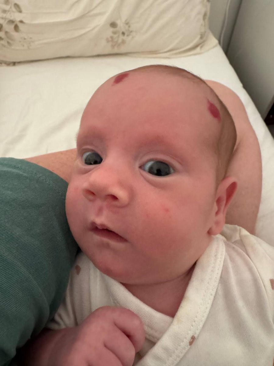 Pumpkin pounder (@jetteim) on Twitter photo 