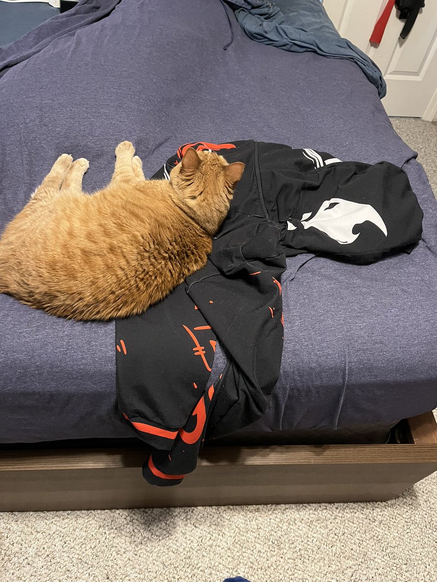 Positive_J_C's tweet image. Rusty also loves the @whoisrinkya hoodie. She has good taste