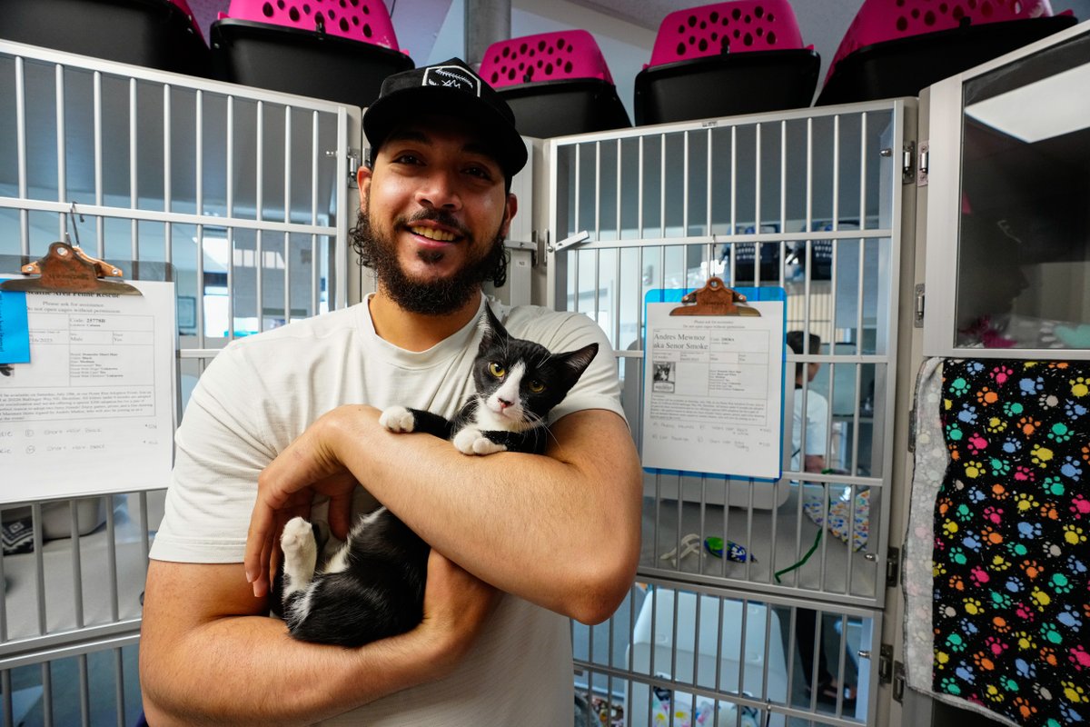 Mariners's tweet image. Muny saves games... and cats!
On Saturday, Andrés Muñoz swung by @SAFeRescueCats for their Home Run Adoption Event to help shine a light on All-Star kitties ready for their fur-ever home 🐈