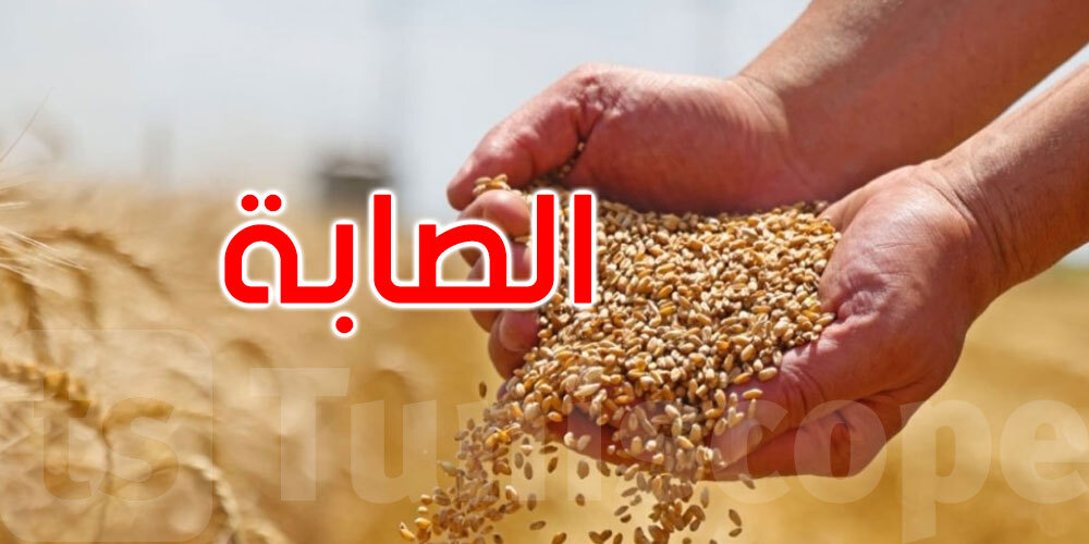 Tuniscope (@tuniscopecom) on Twitter photo باجة تتصدّر ولايات الجمهورية في تجميع الحبوب بنسبة 23,77% ift.tt/OrP05GN باجة تتصدّر ولايات الجمهورية في تجميع الحبوب بنسبة 23,77% ift.tt/OrP05GN
