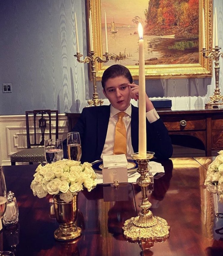 Chicago1Ray's tweet image. For Heaven's sake raise your sons to be more like Barron Trump and not like Hunter Biden