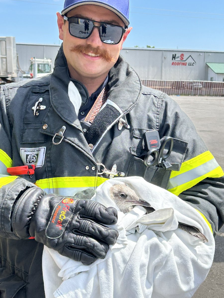 Green Bay Metro Fire Department tweet media