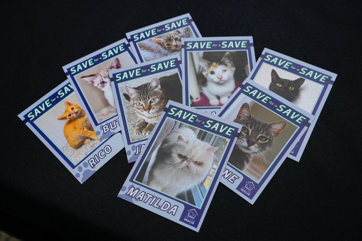 Mariners's tweet image. Muny saves games... and cats!
On Saturday, Andrés Muñoz swung by @SAFeRescueCats for their Home Run Adoption Event to help shine a light on All-Star kitties ready for their fur-ever home 🐈