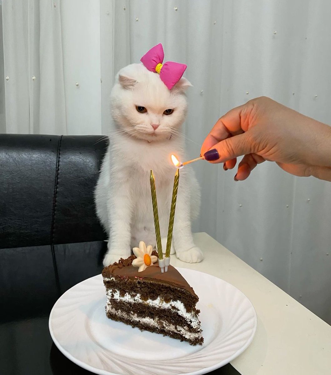 İyi ki doğmuş 🥳❤️ <a href="/miyavisne/">Mia 🪩</a>