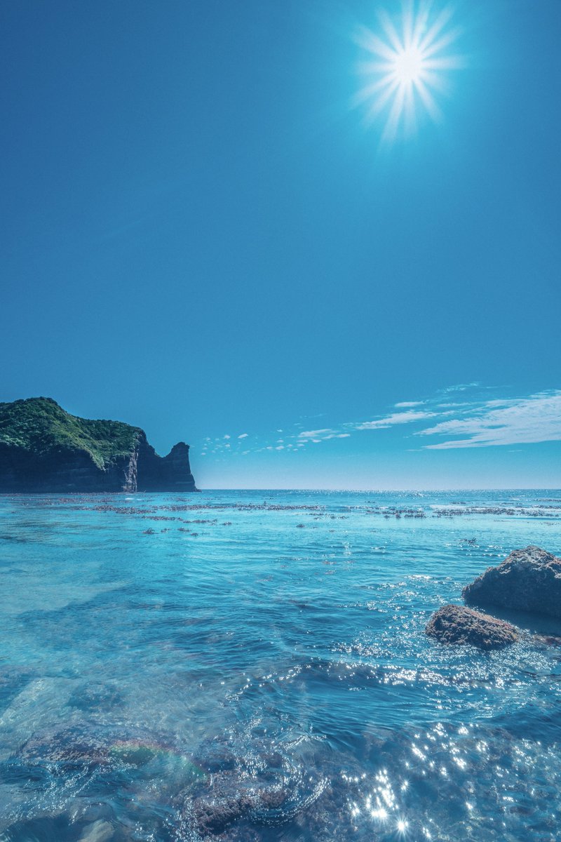 夏の海は最高でした