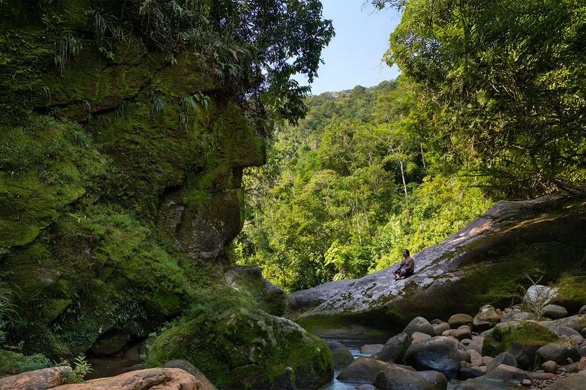 🎥Omäëne Harakbut: documental que transforma el Rostro Harakbut en una experiencia de memoria y resistencia► bit.ly/4o0mSys

El audiovisual sigue al sabio indígena Luis Tayori Kendero en la expedición que lideró hacia el Rostro Harakbut, un sitio sagrado para su pueblo.