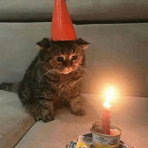 Mar1e_dom's tweet photo. It my birthday… yaaay….alone again https://t.co/wHxvx270PL
