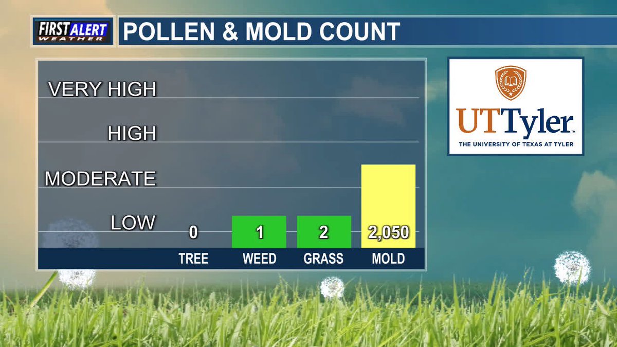 Here is your Pollen/Mold Count from UT Tyler and KLTV for Monday, July 21st. #pollen