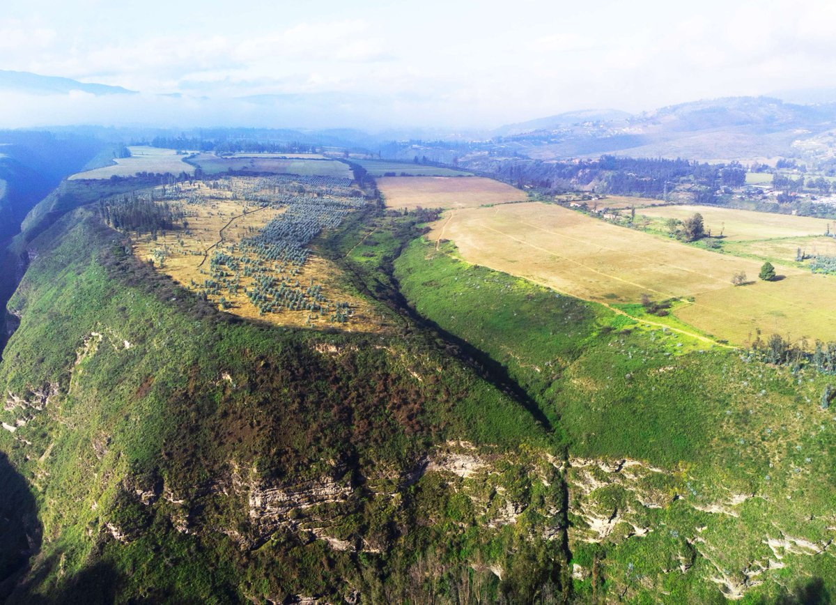 RTJ2GolfDesign's tweet image. At 9,500 feet above sea level, the new Quito Tenis y Golf Club in Ecuador will blend seamlessly into the Andes. No earth-movers—just ribbon tees that stretch and compress over 100 yards. Charlton calls it “one of the strongest sites I’ve ever worked on.”