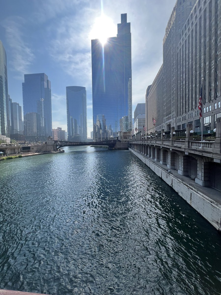 SandboxCyro's tweet image. what a beautiful day