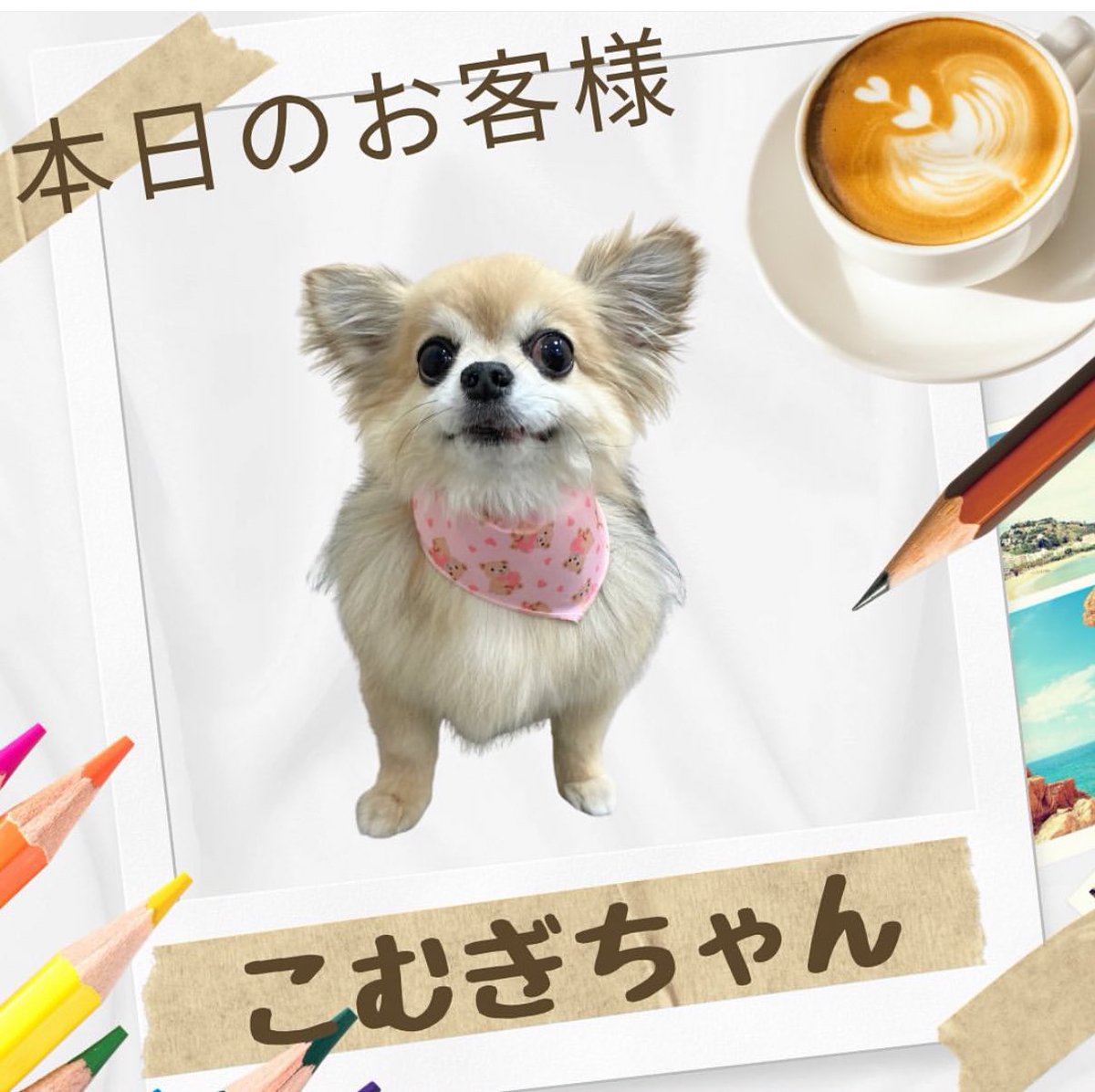 comcomisland's tweet image. おはようございます😊
この連休は色々忙しくて、4日振りの朝ツイです😅
また週末目指して暑さに耐え抜きましょう🥵
画像は日曜日に行ってきた、こむシャンビフォーアフター🧴
「何年経っても慣れないのです〜💦」
今週もよろしくお願いします✨