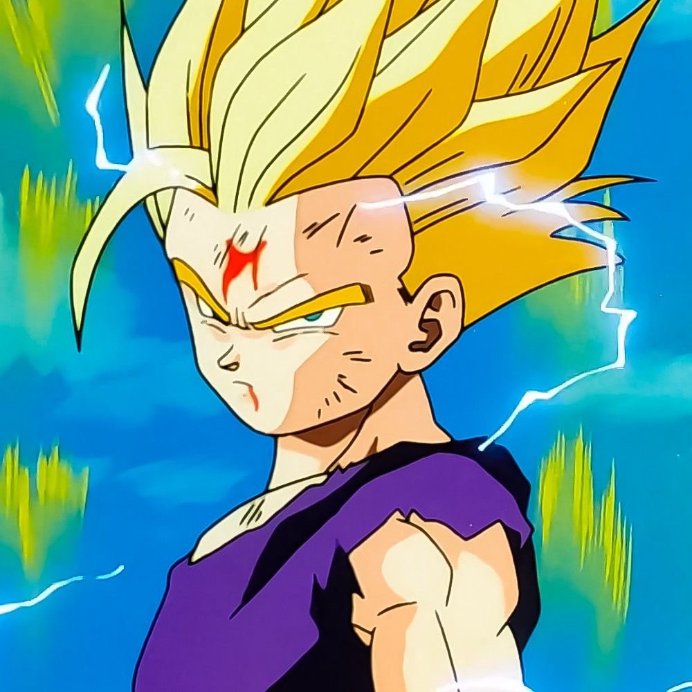 DragonBall_757's tweet image. ✨KING✨