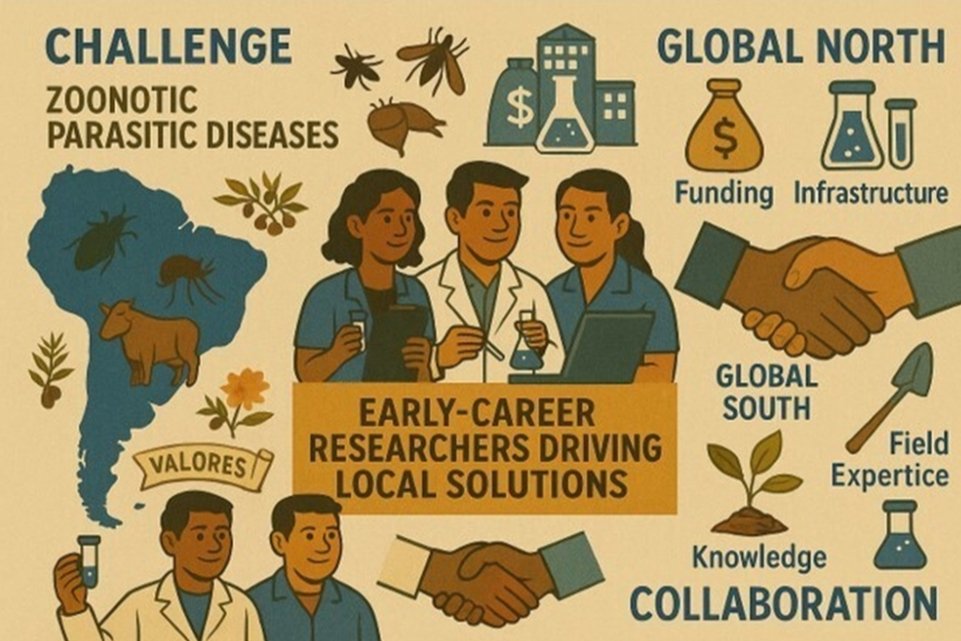 CarolinaVerissimo tweet media