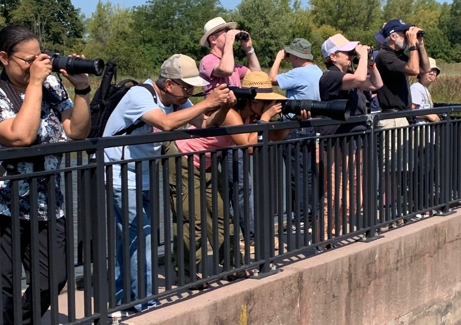 ItsInQueens's tweet image. Take a Summer bird walk with a passionate guide @APECofQueens on July 26 at 11 am. More: tinyurl.com/eypp5yw3