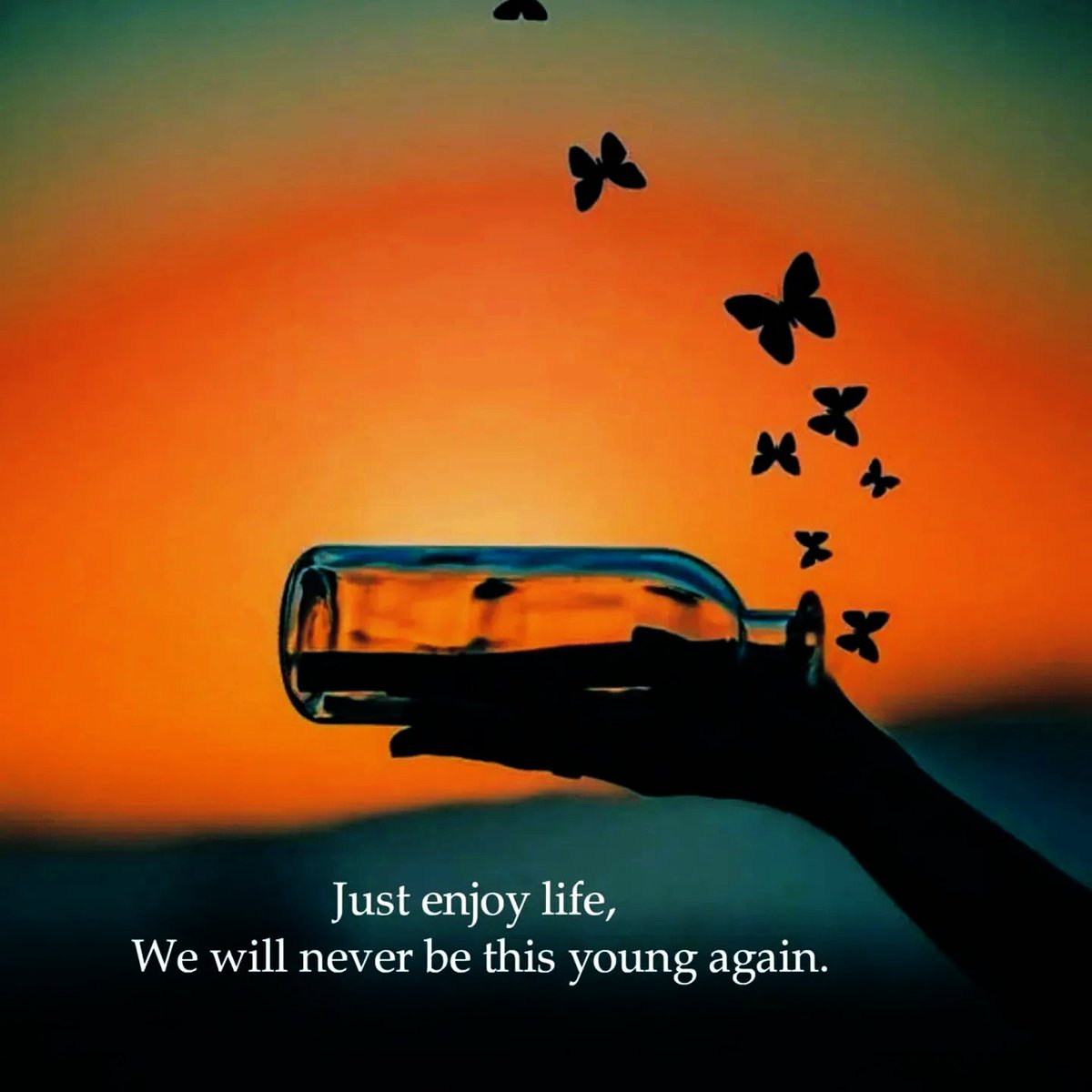 Gary Hensel (@gary_hensel) on Twitter photo 