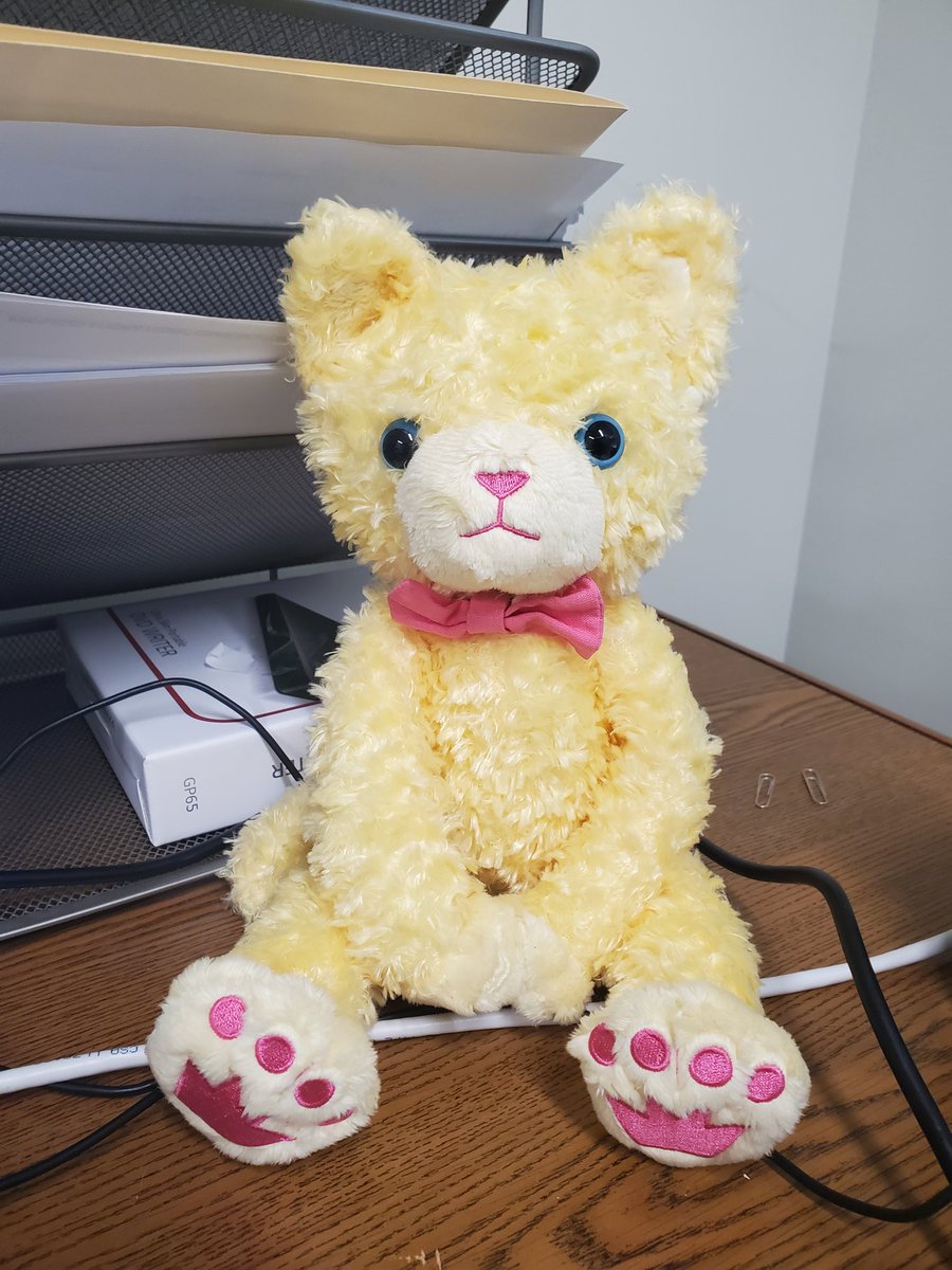 bee_lodi's tweet image. After so many delays, he&apos;s finally home!!!