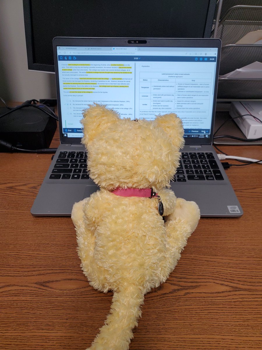 bee_lodi's tweet image. Will you take the bar exam for me, Rosy 🥺