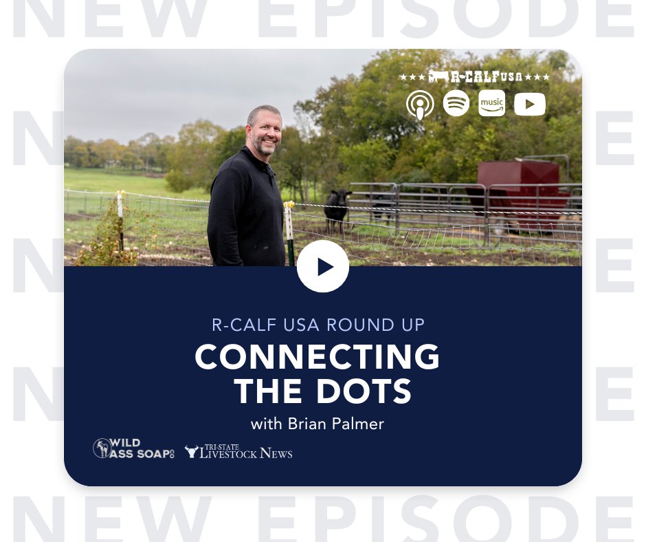 RCALFUSA's tweet image. NEW EPISODE
“Sustainability” policies, climate scoring, and corporate control are reshaping cattle production, threatening the independence of America’s ranchers.
🎧 Listen on Apple, Spotify, Amazon Music, or here: rcalfusaroundup.podbean.com/e/connecting-t…
