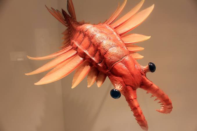 IEatLem0ns's tweet image. all these fangan devs on my timeline drawing amazing stuff for their games
but i can’t draw
so here’s a picture of an anomalocaris