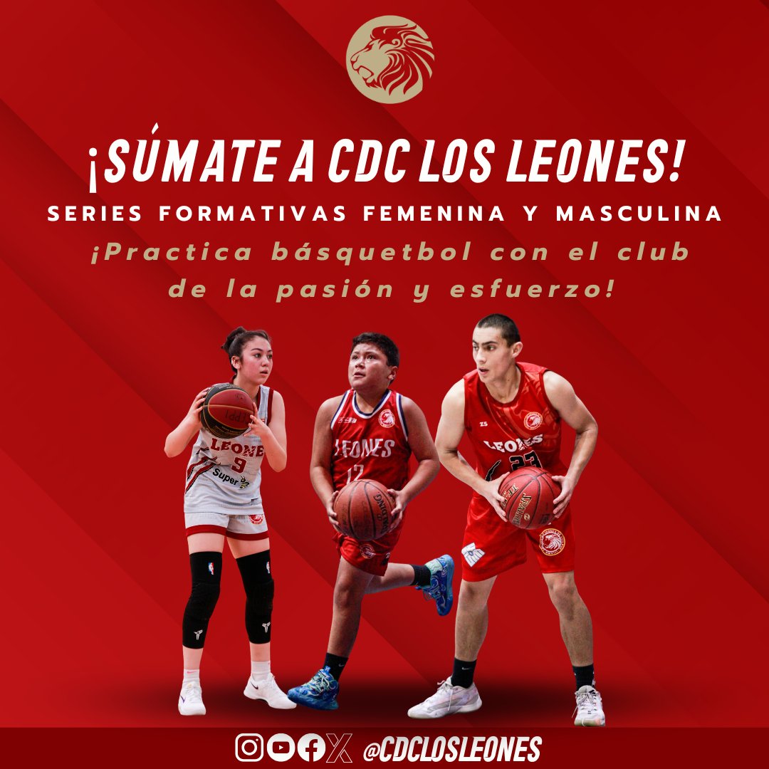 CDCLosLeones's tweet image. 🦁🏀 ¡ÚNETE A LAS SERIES MENORES DE LOS LEONES!
¿Quieres ser parte del club desde U13 en adelante?
👉 Postula completando el formulario: bit.ly/ReclutamientoL…
📲 Si tu ficha interesa, te contactamos
📝 Si quedas, comienza tu matrícula
¡Ruge con nosotros! 🔥
#VamosLeones