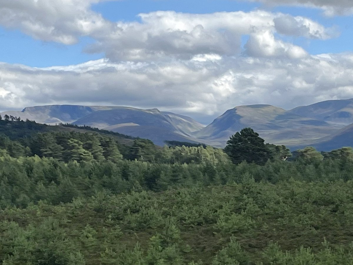 ๐ (@ostonestreet) on Twitter photo #picoftheday Over To The Cairngorms <a href="/ladycultreboot/">Freyja</a> <a href="/PennineThe/">The Pennine Painter</a> <a href="/raiphsays/">Oor Red Raiph ๐ด๓ ง๓ ข๓ ณ๓ ฃ๓ ด๓ ฟ๐ฎ๐ช๐ฉ๐ช</a> <a href="/staithesartist/">Sue Nichol</a> <a href="/MarySummer1966/">Mary Summer</a> <a href="/pilaraymara/">Pilar Fernandez</a> <a href="/GREIGEYESBIKER1/">GREIGE๐ด๓ ง๓ ข๓ ณ๓ ฃ๓ ด๓ ฟ๐๐</a> <a href="/moleatthedoor/">Swivel-eyed mole at the counter</a> <a href="/mrs_counter/">Caz Bailey๐๏ธ๐๐ค๐</a> <a href="/lorri1962/">Supergran Lorri Independence for Scotland</a> <a href="/Catrionareids/">Catrรฌona Reid</a> <a href="/JohnDowson66/">Adult Human Male of Steel ๐ฅ ๐๐ค๐</a> <a href="/colz261/">Right Hon .Lady Colz of Aberdeen ๐ด๓ ง๓ ข๓ ณ๓ ฃ๓ ด๓ ฟ</a> <a href="/ArgyllSeaGlass/">๐ด๓ ง๓ ข๓ ณ๓ ฃ๓ ด๓ ฟMike - ArgyllSeaglass ๐ด๓ ง๓ ข๓ ณ๓ ฃ๓ ด๓ ฟ</a> <a href="/weestie97/">Highland Extremist CyberNat</a> <a href="/cee4cat/">Simone</a> <a href="/defiaye/">Brave</a> <a href="/Becca3Artach/">Becca Thorne</a> <a href="/Heeev_/">Heather</a> #picoftheday Over To The Cairngorms <a href="/ladycultreboot/">Freyja</a> <a href="/PennineThe/">The Pennine Painter</a> <a href="/raiphsays/">Oor Red Raiph ๐ด๓ ง๓ ข๓ ณ๓ ฃ๓ ด๓ ฟ๐ฎ๐ช๐ฉ๐ช</a> <a href="/staithesartist/">Sue Nichol</a> <a href="/MarySummer1966/">Mary Summer</a> <a href="/pilaraymara/">Pilar Fernandez</a> <a href="/GREIGEYESBIKER1/">GREIGE๐ด๓ ง๓ ข๓ ณ๓ ฃ๓ ด๓ ฟ๐๐</a> <a href="/moleatthedoor/">Swivel-eyed mole at the counter</a> <a href="/mrs_counter/">Caz Bailey๐๏ธ๐๐ค๐</a> <a href="/lorri1962/">Supergran Lorri Independence for Scotland</a> <a href="/Catrionareids/">Catrรฌona Reid</a> <a href="/JohnDowson66/">Adult Human Male of Steel ๐ฅ ๐๐ค๐</a> <a href="/colz261/">Right Hon .Lady Colz of Aberdeen ๐ด๓ ง๓ ข๓ ณ๓ ฃ๓ ด๓ ฟ</a> <a href="/ArgyllSeaGlass/">๐ด๓ ง๓ ข๓ ณ๓ ฃ๓ ด๓ ฟMike - ArgyllSeaglass ๐ด๓ ง๓ ข๓ ณ๓ ฃ๓ ด๓ ฟ</a> <a href="/weestie97/">Highland Extremist CyberNat</a> <a href="/cee4cat/">Simone</a> <a href="/defiaye/">Brave</a> <a href="/Becca3Artach/">Becca Thorne</a> <a href="/Heeev_/">Heather</a>