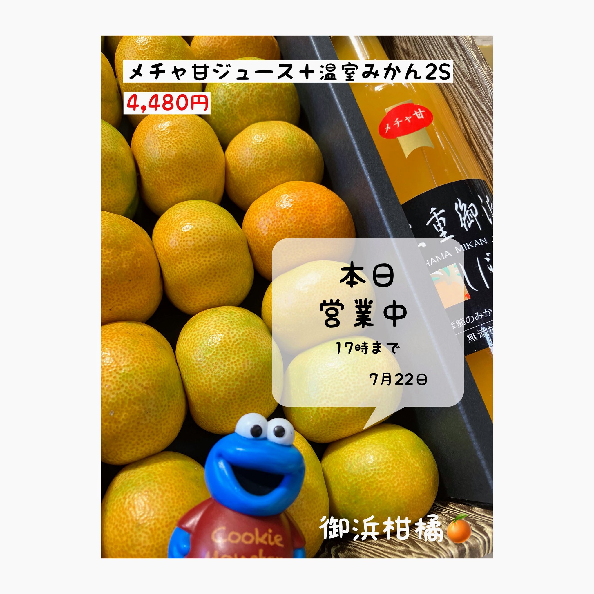 こだわりみかん”の御浜柑橘 on X: 