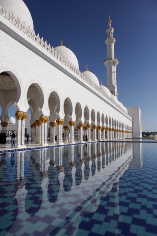 Alerta News 24 tweet media