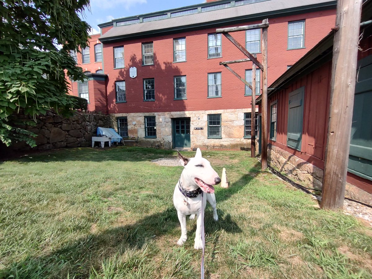 rexthetvterrier's tweet image. Today's #SpikesSpots is the Brick Mill. 2nd pic has more info. They made machine works for textile mills here, which was the foundation of our town
#Spike #PuppyLove #Dogs #MondayVibes