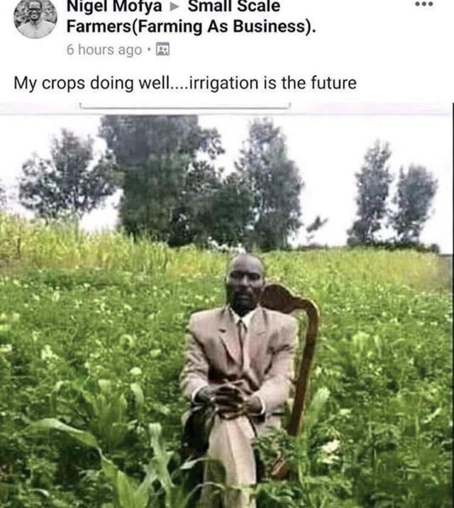 we should allow the entirety of Africa onto the internet because i earnestly do believe they’re a significantly more positive influence than Indians, Indonesians or Bangladeshis