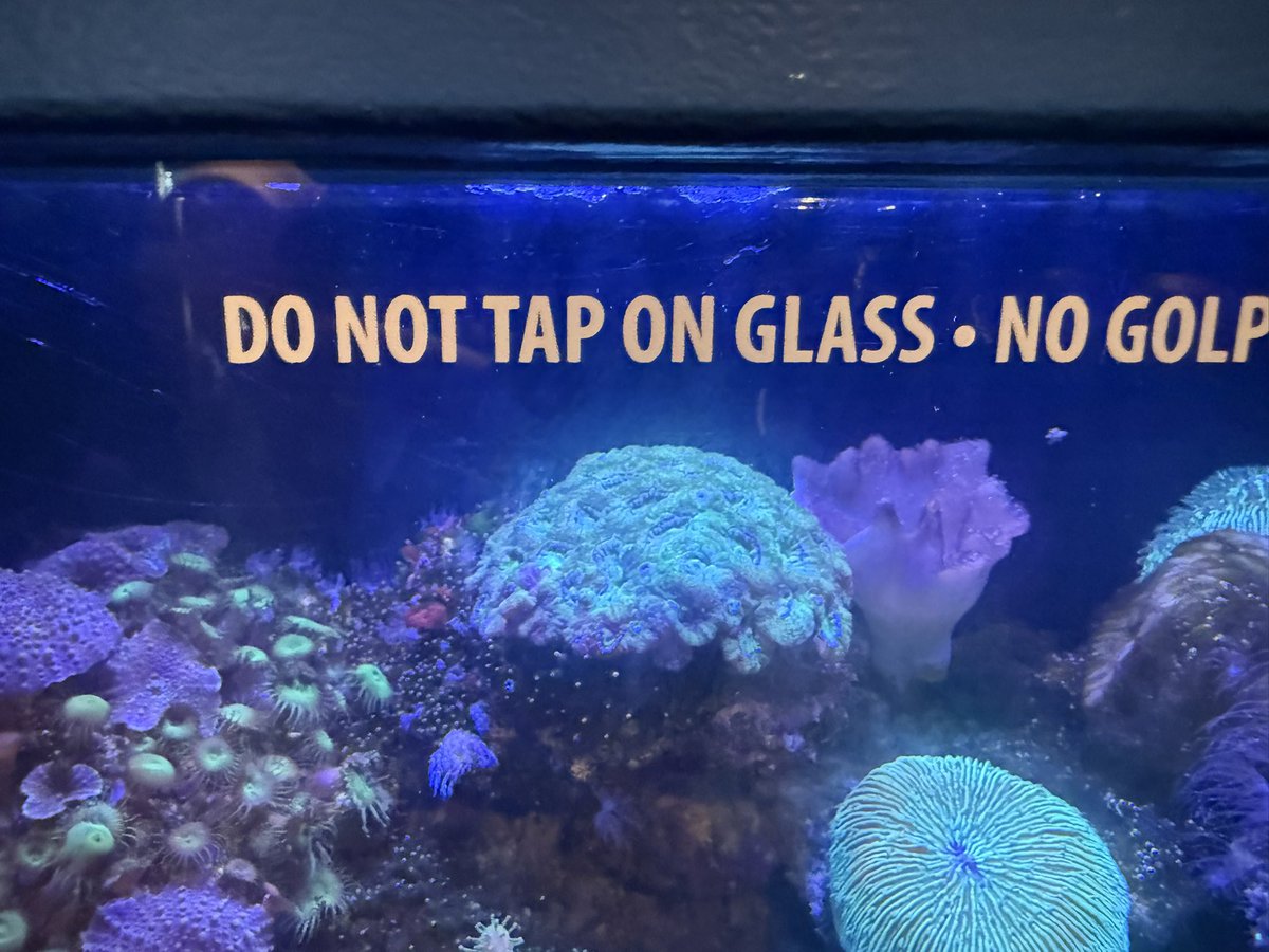 AxolotlDash's tweet image. Tyler must have paid a LOT advertising this new album, they had these little ads for it all over the zoo!!