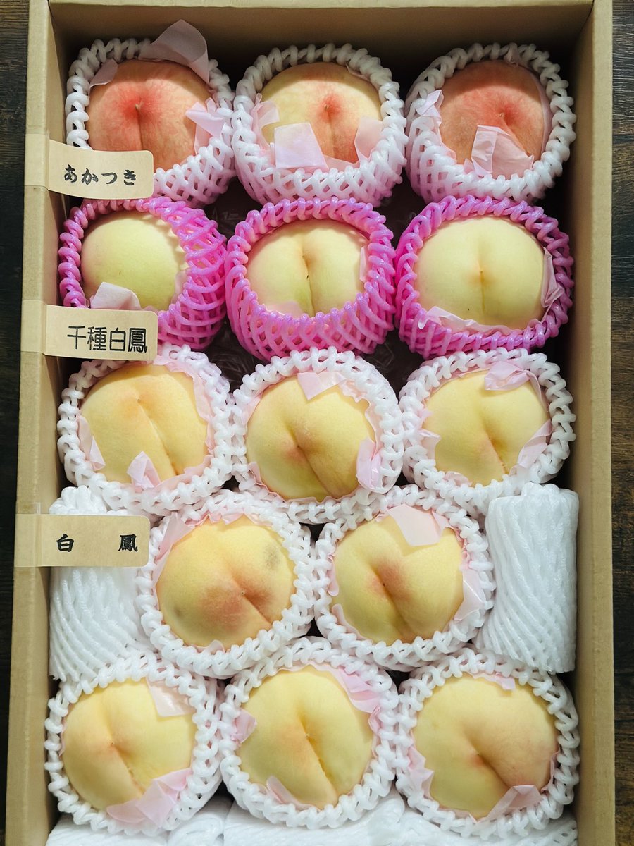 岡本桃園 Okamoto Peach Garden (@OkamotoPG) / Posts / X