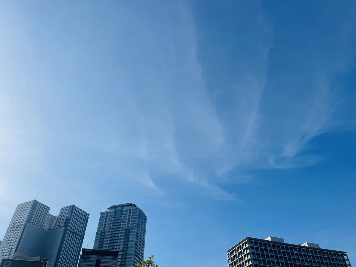 おはようございます。
今日も夏空です！
素敵な1日をお過ごし下さい♪