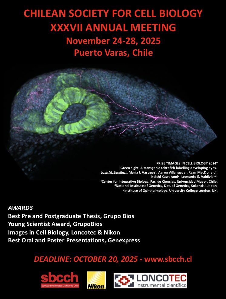 _SBCCh's tweet image. XXXVII Reunión anual de la Sociedad de Biología Celular de Chile
🗓️ 24 al 28 de noviembre de 2025
🗻 Puerto Varas, Chile
Toda la info en el link: sbcch.cl/meeting/annual…