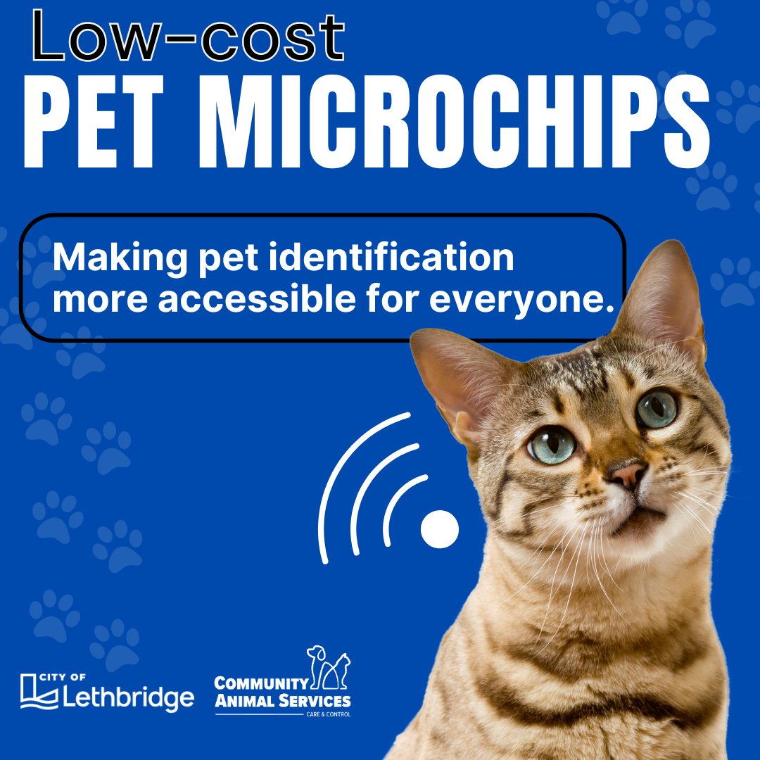 We have teamed up with Zen Cat Clinic to provide quick, easy, and low-cost pet microchips to Lethbridge residents.
⏲️Saturday, July 26, 11:00 am to 2:00 pm
📍Lethbridge Animal Shelter (2405 41 St N)
💲Cost is $30 per animal and includes a city licence for cats

#yql #lethbridge