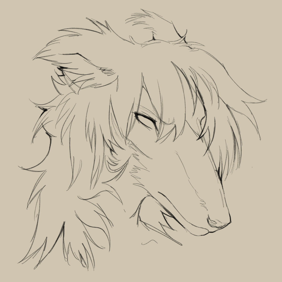 fellspar's tweet image. sketching, idk if I like the way he looks without his cheek fluff