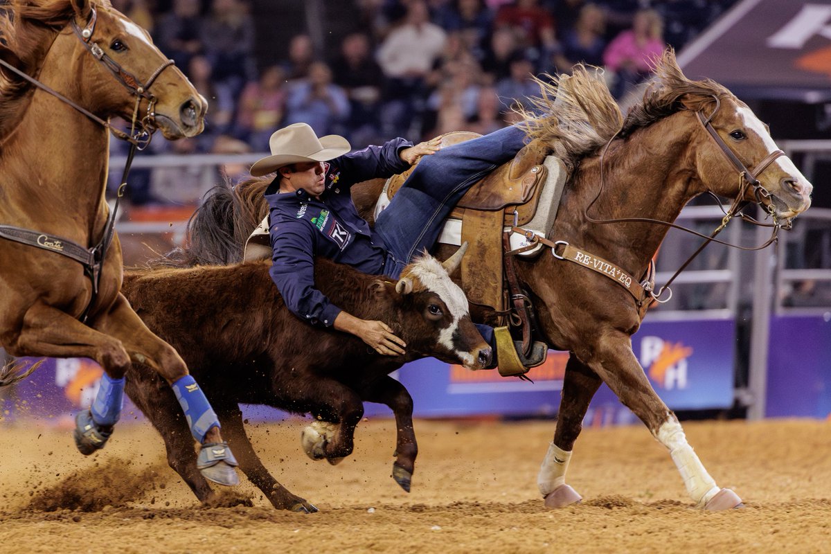 RODEOHOUSTON's tweet image. A roundup of some of our favorite snapshots 📸
Saddle up for National Day of the Cowboy content all week long