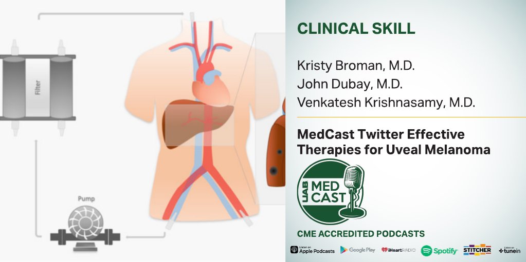 Walk through candidacy, recovery, and how percutaneous hepatic perfusion (PHP) compares to surgery or immunotherapy. Learn how coordination across specialties makes this liver-directed therapy possible. brnw.ch/21wUjHU