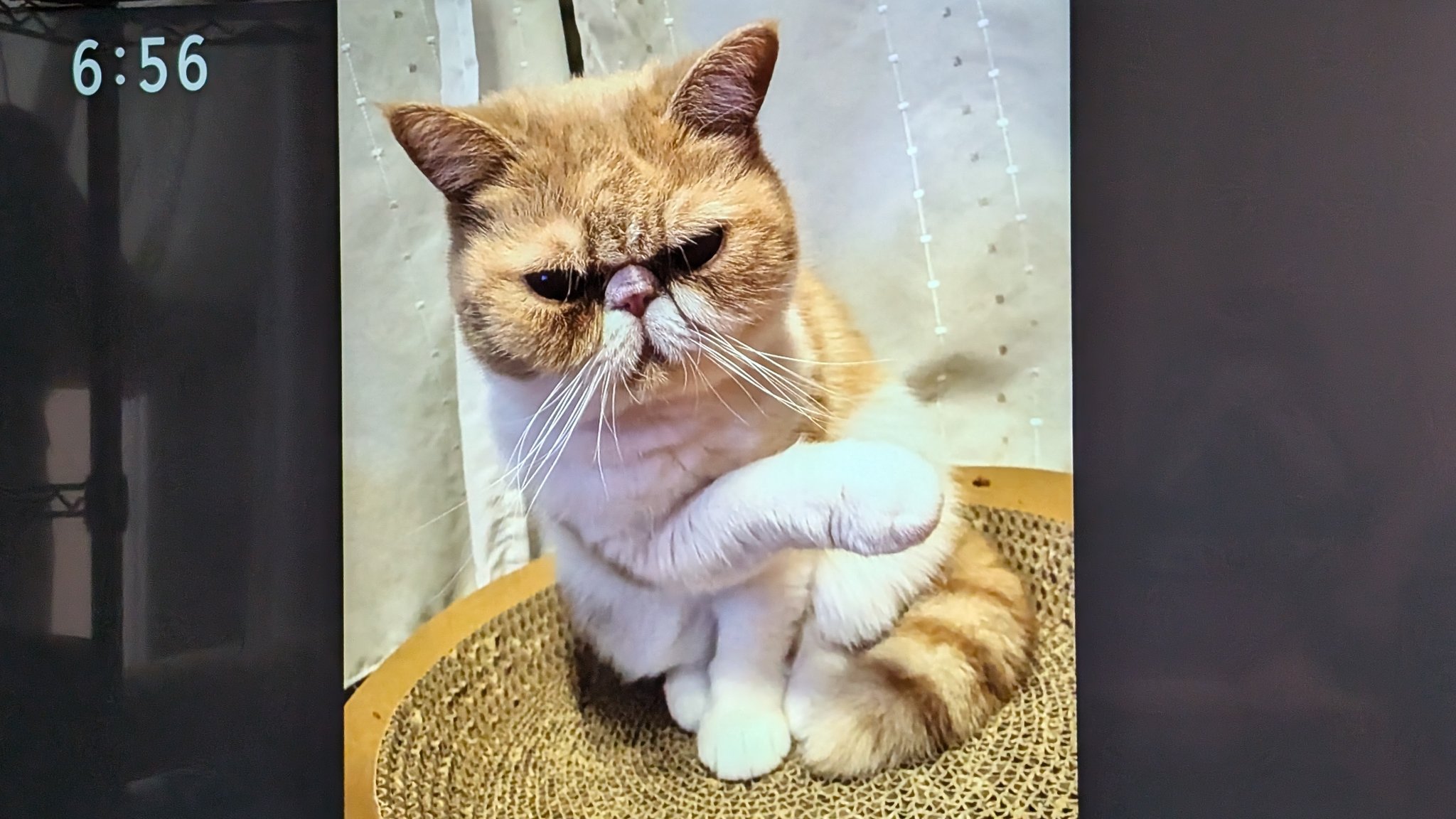 雨*猫様 画像追加しました。さらに値下げ❗️値下げ❗️アンティークミシンです オルタンス誕生日絵です！ 遅くなってごめんね💦 我が家に来て