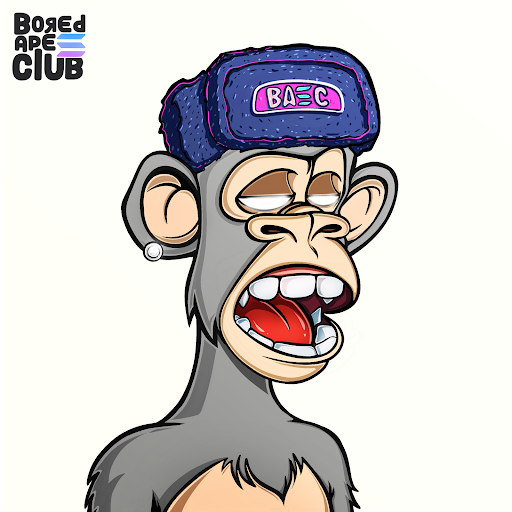 navocx2610's tweet image. Ill show you mine if you show me yours. 
@BoredApeSolClub
