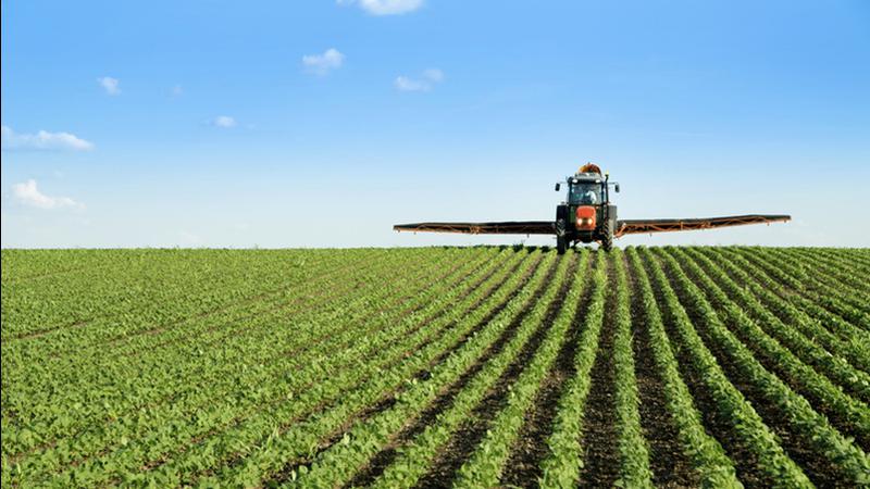 Alberta Grains begins trials on variety-specific fungicide applications dlvr.it/TM2dLx