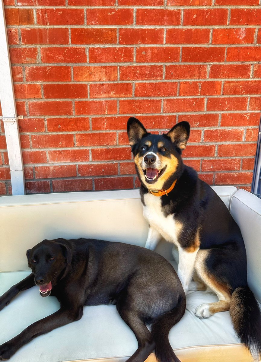 zona &amp; bodhi ❤️‍🔥 my dynamic duo