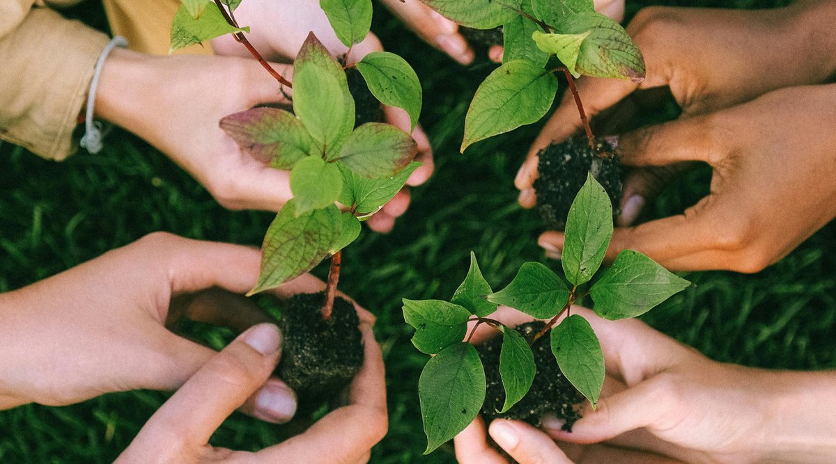 Blog Nuestras Voces | Explorando el potencial: Financiación, asociatividad y desarrollo sostenible

📝Ana Lucy Villamil Cortés

Conozca el texto completo en: pactoglobal-colombia.org/nuestras-voces…

#Agenda2030 #ODS #Sostenibildiad