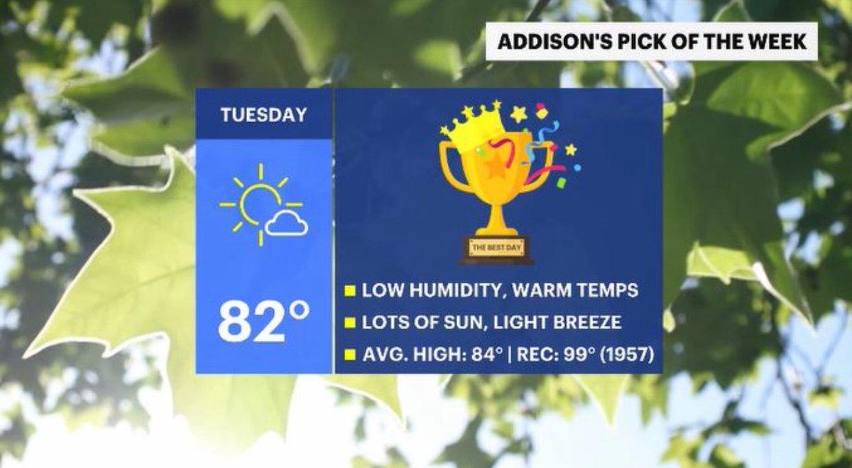 AddisonGreenWX's tweet image. 📰 headlines time, #HudsonValley!
🏅 TUE, get outside… that’s the forecast
😎 sunglasses needed this work week
🥵 high heat & humidity return THU
🌧️ weekend has rain chances
HudsonValley.news12.com/weather
#nywx #news12