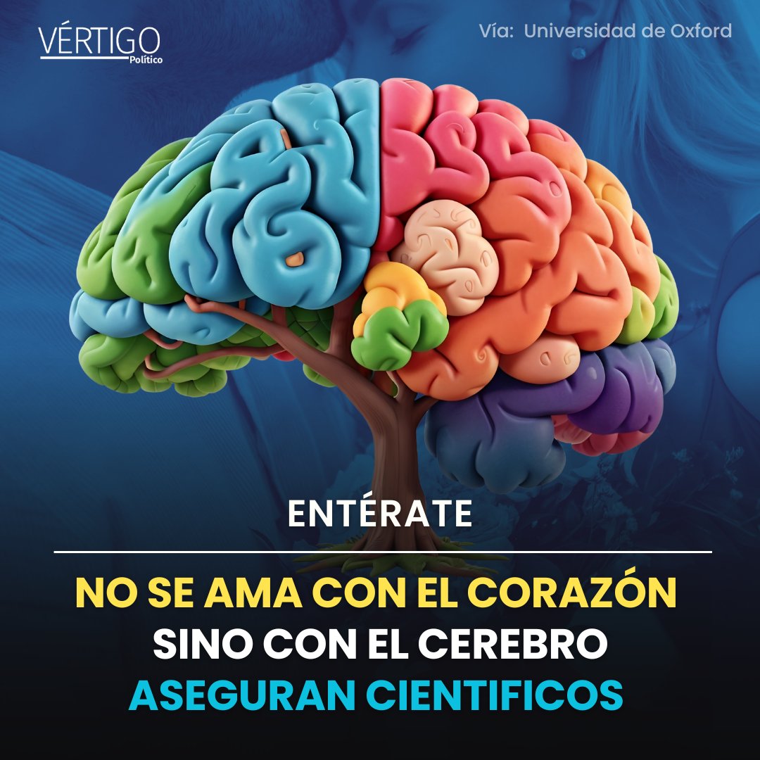 VertigoPolitico's tweet image. #Entérate Estudio científico de la Universidad de Oxford revela que se ama con el 🧠cerebro | Visita #VértigoPolítico #VertigoPolitico